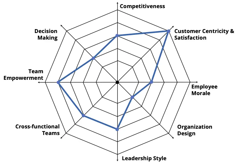 Spider Map Diagram Assessment of Business Agility
